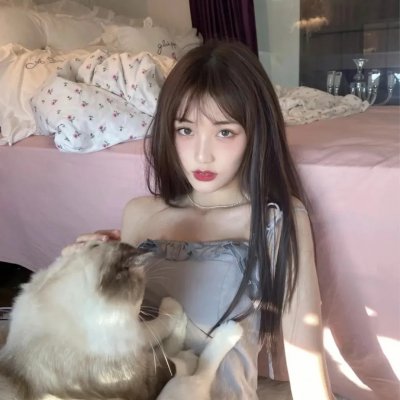 侠盗正传